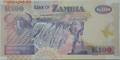 Замбия 100 квача 2009 г.  до 12.02.24 - DSCN2142.JPG