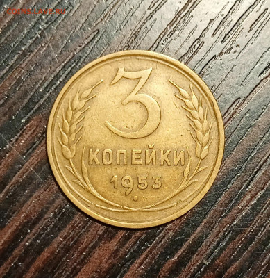 Вопросы по разновидностям - IMG20240205230349