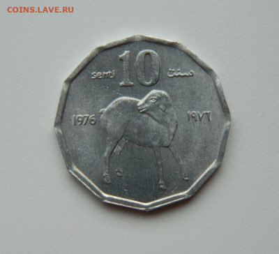 Сомали 10 центов 1976 г. (Фауна)  до 12.02.24 - DSCN1970.JPG