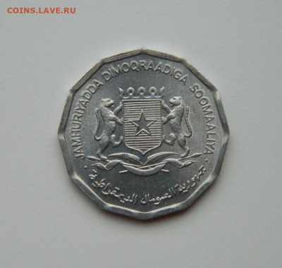 Сомали 10 центов 1976 г. (Фауна)  до 12.02.24 - DSCN1971.JPG