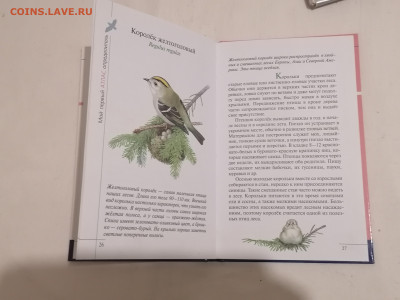 Атлас "Птицы леса". до 11 02 2024 - IMG_20240206_181008