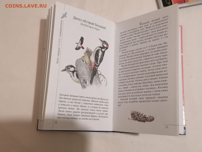 Атлас "Птицы леса". до 11 02 2024 - IMG_20240206_180946