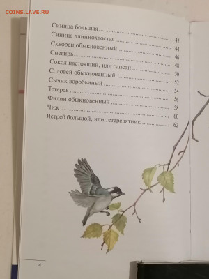 Атлас "Птицы леса". до 11 02 2024 - IMG_20240206_180921