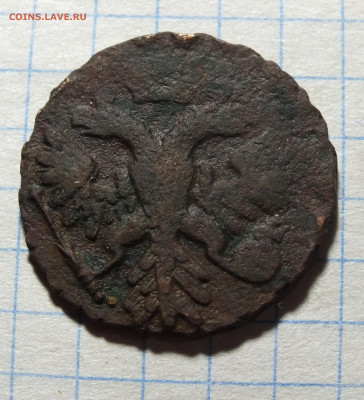 Денга 1741 года - DSCF3150.JPG