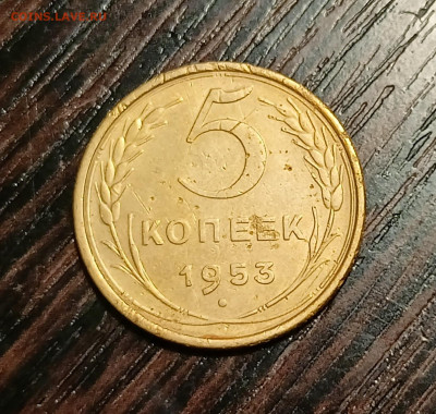 Вопросы по разновидностям - IMG20240205225914