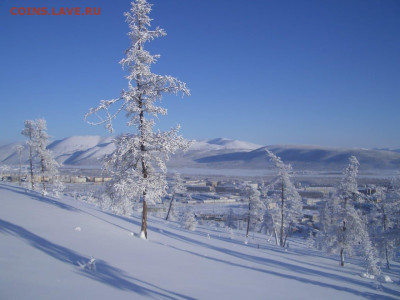 ФОТО - просто фото. Те что получились удачными. - photo_2024-02-07_10-49-02
