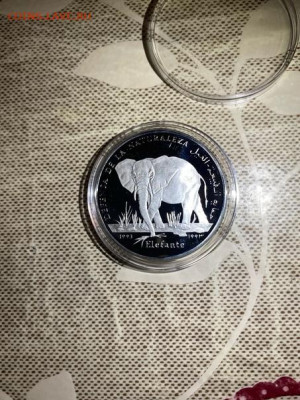 500 Песет  Сахара 1993  Фауна Слон до 13.02 - Z8KMNYwx_Dw