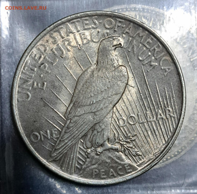 США мирный доллар 1922г. ДО 14.02.2024 В 22:00 МСК - 20240129_193733