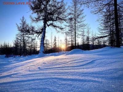 А это если сравнительно тепло - photo_2024-02-07_09-47-37