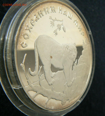 3 руб Тигр 1996, 14.02. 22.00 МСК - P1120704.JPG