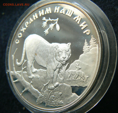 3 руб Тигр 1996, 14.02. 22.00 МСК - P1120703.JPG