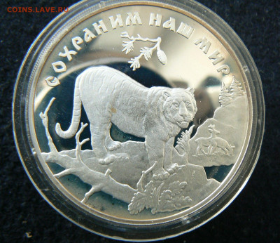 3 руб Тигр 1996, 14.02. 22.00 МСК - P1120702.JPG