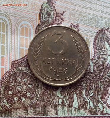 3 копейки 1956. До 15.02.24 в 22.00 - 20240210_160412
