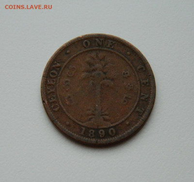 Британский Цейлон 1 цент 1890 г. до 15.02.24 - DSCN2743.JPG