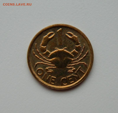 Сейшельские острова 1 цент 2012 г. (Краб) до 15.02.24 - DSCN2691.JPG