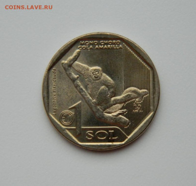 Перу 1 соль 2019 г. (Юбилейная) Обезьяна до 15.02.24 - DSCN2721.JPG