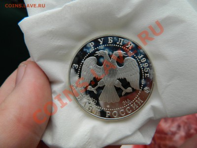 3 рубля 1995г серебро! Пятна! - DSCN0366.JPG
