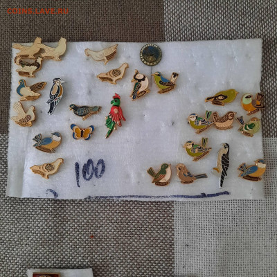 Значки различные - ассорти - 5 - фикс 100 руб - 14-02-24 - 20240211_140755