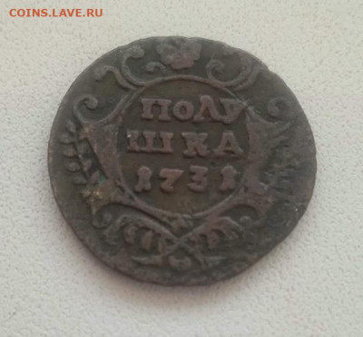 Полушка 1731 - Полушка 1731