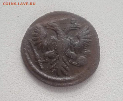 Полушка 1736 - Полушка 1736-1