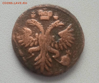 Денга 1730 - Деньга 1730-1