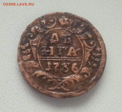 Денга 1736 - Деньга 1736-1