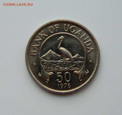 Уганда 50 центов 1976 г. (Фауна)  до 19.02.24 - DSCN2750.JPG