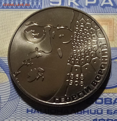 УКРАИНА 2 гр 2008 г Георгий Вороной до 18.02 в 22.20 - вор1