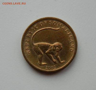 Сомалиленд 10 шиллингов 2002 г. (Фауна) до 19.02.24 - DSCN2841.JPG