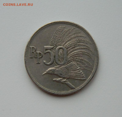 Индонезия 50 рупий 1971 г. (Фауна) до 19.02.24 - DSCN2842.JPG