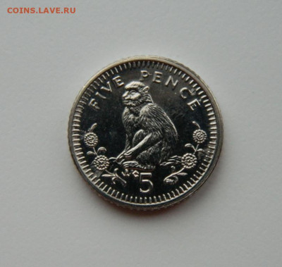 Гибралтар 5 пенсов 2003 г. (Фауна) до 19.02.24 - DSCN2837.JPG