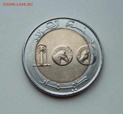 Алжир 100 динаров 2018 г. (Фауна) БИМ до 19.02.24 - DSCN2985.JPG