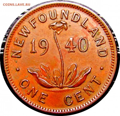 F89 Ньюфаундленд 1¢ 1940 до 16.01 в 22°° - F89 1C nfld 1940_1