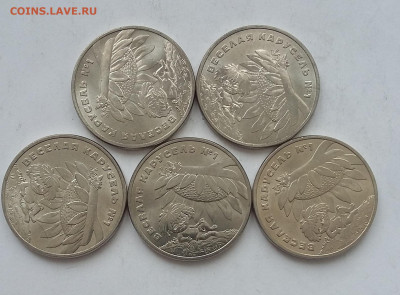 25р Антошка  простая 5 шт - 20200509_064825