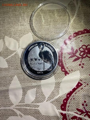 1 Доллар  Виргинские Острова 2021  Фауна Фламинго до 20.02 - 0AfLAtnH57c