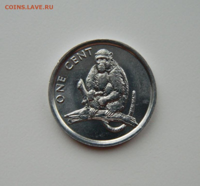 Острова Кука 1 цент 2003 г. (Обезьяна) до 20.02.24 - DSCN2824.JPG