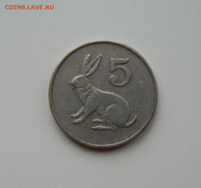 Зимбабве 5 центов 1990 г. (Фауна). до 20.02.24 - DSCN2831.JPG