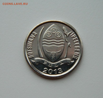 Ботсвана 10 тхебе 2013 г. (Фауна)  до 20.02.24 - DSCN2854.JPG