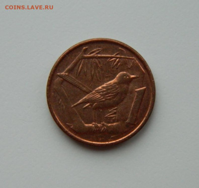 Каймановы острова 1 цент 2005 г. (Фауна) до 20.02.24 - DSCN2945.JPG