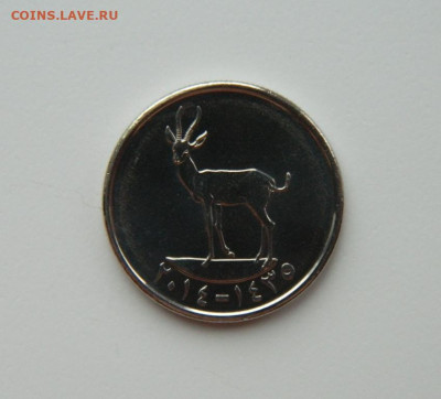 ОАЭ 25 филсов 2014 г. (Фауна). до 20.02.24 - DSCN2940.JPG