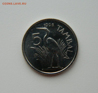 Малави 5 тамбала 1995 г. (Фауна)  до 20.02.24 - DSCN2971.JPG