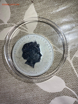 1 Доллар  Австралия 2008  Лунный календарь Год Крысы Лунар ц - jPjURZpasBHY_lahQ7zbWu7z_l9IH49dNCLMm4HI6mAYmCXd5ycTL4VUjea9xzXfkWOWz4UnzKNQf081d57H2baN