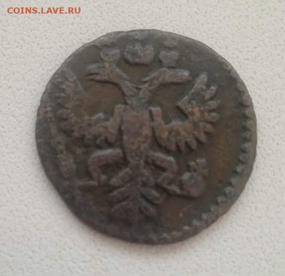Полушка 1731 - Полушка 1731-1