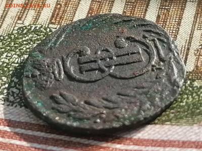 полушка сибирская 1771 км - пол. сиб (5)