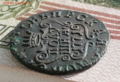 полушка сибирская 1771 км - пол. сиб (4)