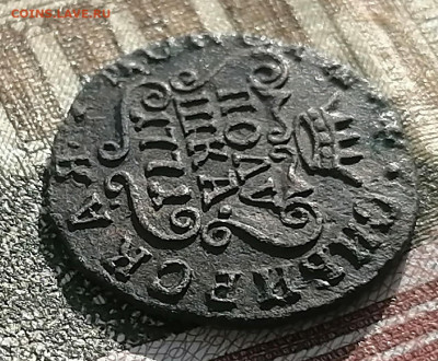 полушка сибирская 1771 км - пол. сиб (3)