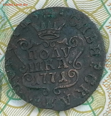 полушка сибирская 1771 км - пол. сиб (2)