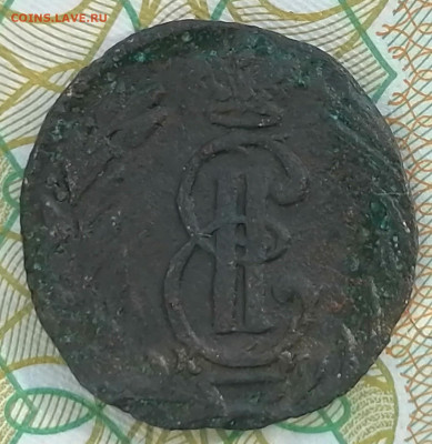 полушка сибирская 1771 км - пол. сиб (1)
