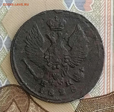 денга 1828 ем ик - ден28 (2)