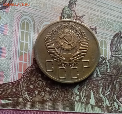 5 копеек 1954. До 22.02.24 в 22.00 - 20240217_155732